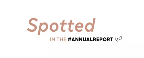 Header Spotted on the Annual Report Logo 2021